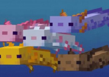 Purple Axolotl Minecraft – How to Summon – 2021 Easy Guide