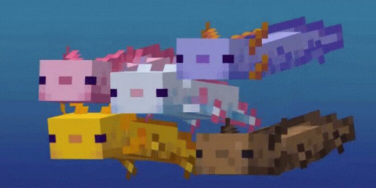 Purple Axolotl Minecraft – How to Summon – 2021 Easy Guide