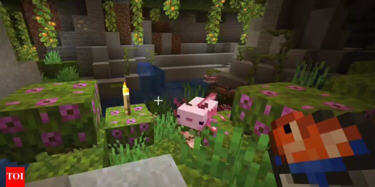 How To Tame Axolotls In Minecraft 1.17: Where to Find