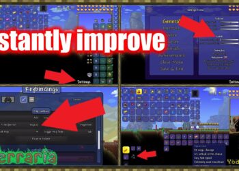 Best Settings for Better Performance in Terraria