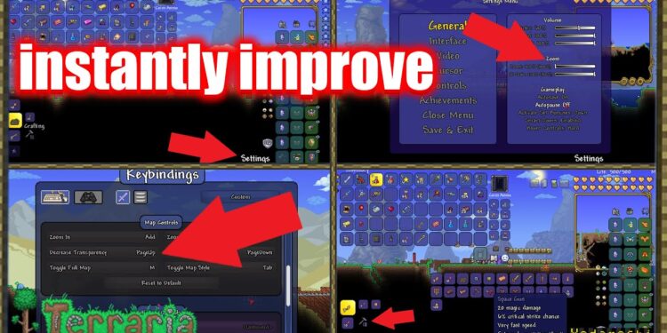 Best Settings for Better Performance in Terraria