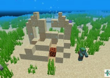 How to Craft Seagrass in Minecraft