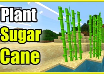 Planting Sugar Cane in Minecraft: A Step-by-Step Guide