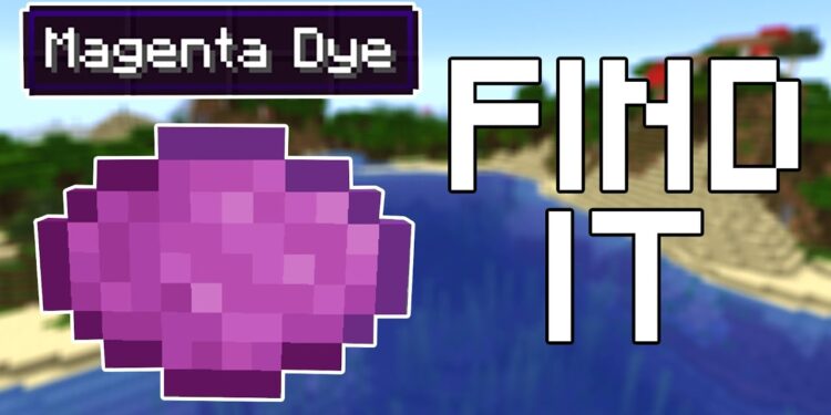 How to Obtain Magenta Dye in Minecraft