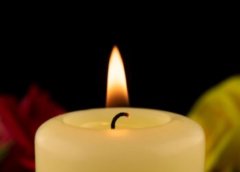 portsmouth daily times obituaries today