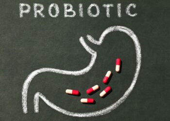 spring valley multi-enzyme probiotic 200 tablets + your vitamin guide