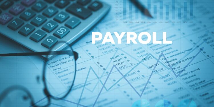my.payroll.pspi.net