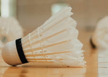 organisasi bulutangkis indonesia adalah