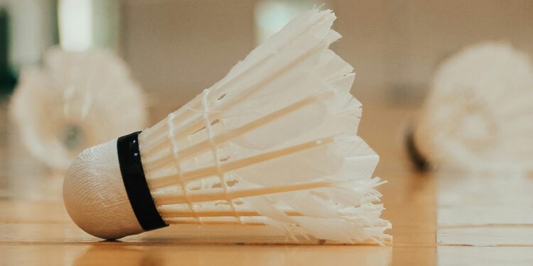 The Organisasi Bulutangkis Indonesia Adalah: A Deep-Dive into the strategically progressive IBO 22 organisasi bulutangkis indonesia adalah