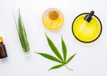Breaking Stigma: The Role of Cannabis in Contemporary Wellness 4 Image2