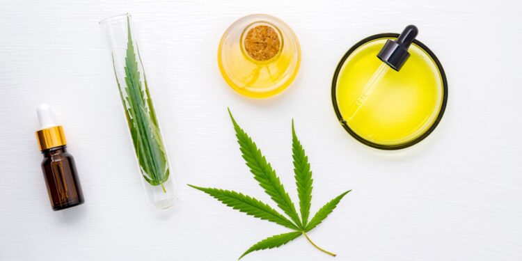 Breaking Stigma: The Role of Cannabis in Contemporary Wellness 9 Image2