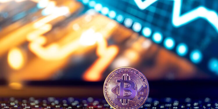 The Great Options for Crypto Gambling 9 The Great Options for Crypto Gambling