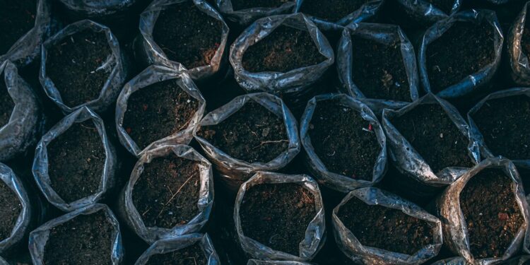 Soil vs. Hydroponics: The Perfect Growing Medium for Cannabis Cultivation 9 Image2